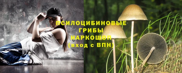 а пвп мука Нея