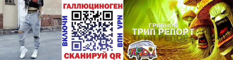 МЕГА зеркало  Новая Усмань  Галлюциногенные грибы мухоморы 